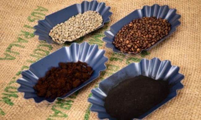 Samples of unroasted coffee beans, roasted coffee beans, spent ground coffee and the team’s coffee biochar.